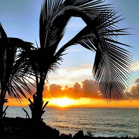 Pahoa Paradise Palms Zewnętrze zdjęcie