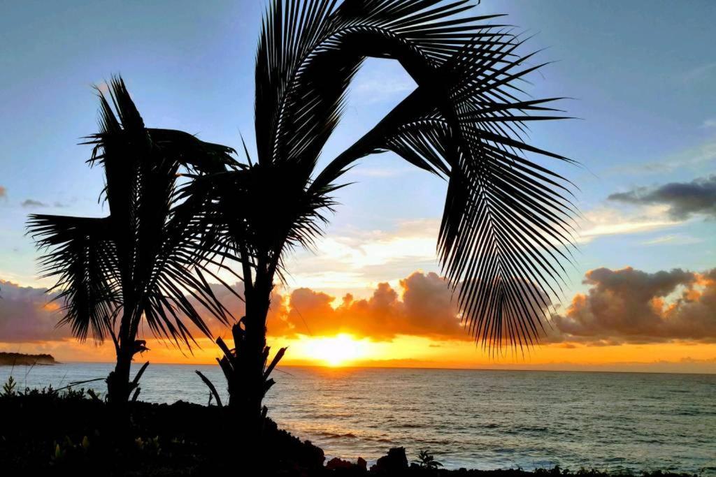 Pahoa Paradise Palms Zewnętrze zdjęcie